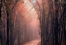 里昂逆转尼斯，经历惊心动魄胜利之战