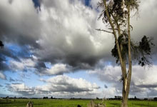 长春亚泰取得千钧一发胜利，保住积分榜位置