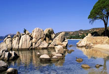 塞尔维亚遭法国逆转出局，惨遭淘汰惨败！